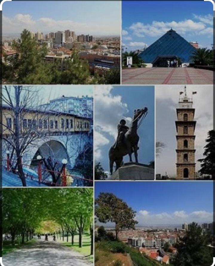 Bursa